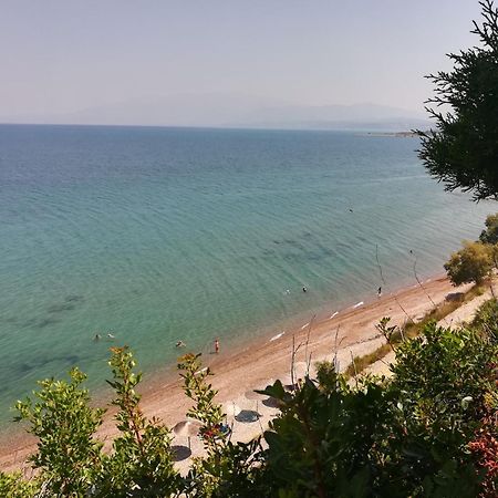 Koralli Sea View Hotel Kato Achaia Exterior photo